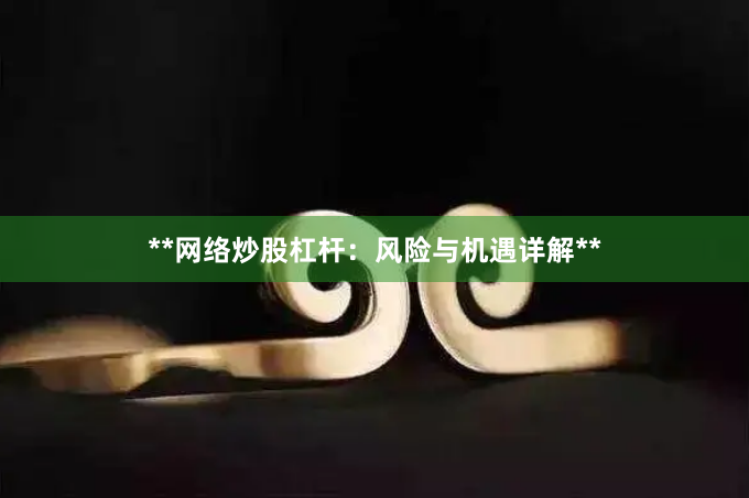 **网络炒股杠杆：风险与机遇详解**