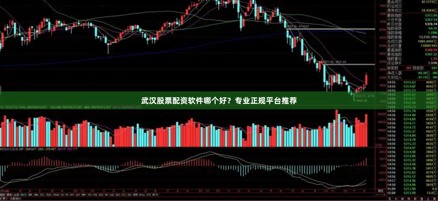 武汉股票配资软件哪个好?专业正规平台推荐